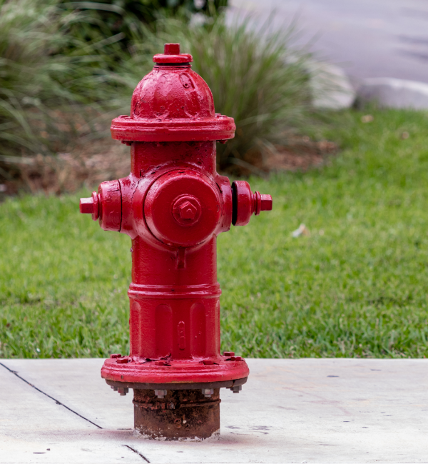 A red fire hydrant, part of vital fire hydrant services, stands on a concrete sidewalk with green grass and blurred plants in the background.